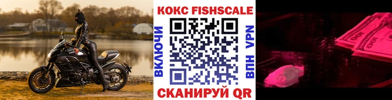 COCAIN Fish Scale  Новоузенск 