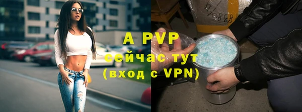 apvp Аркадак