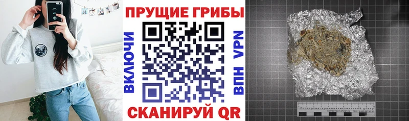 Галлюциногенные грибы Magic Shrooms  Новоузенск 