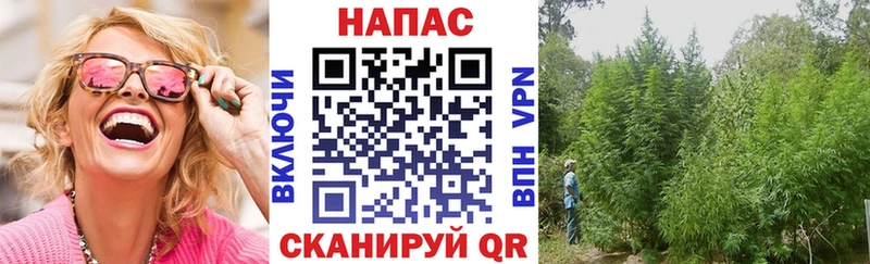 Марихуана тримм  shop Telegram  Новоузенск 